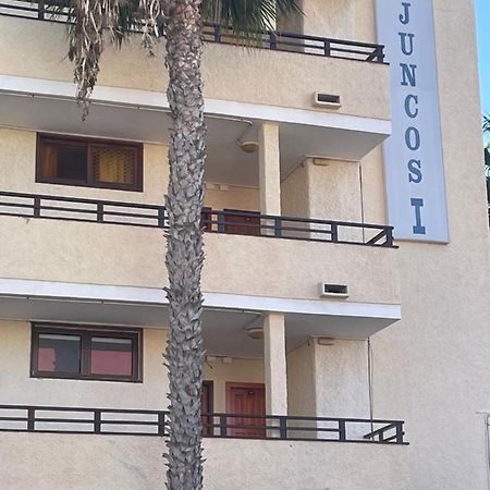 Juncos I Daire San Bartolomé Dış mekan fotoğraf